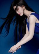 反而任由蓝白野”党从导议题引领风潮